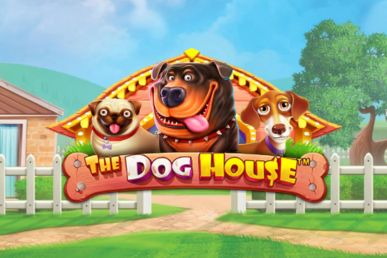 The Dog House